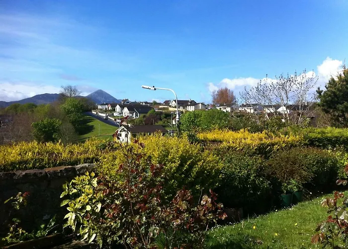 Rise And Shine Vegetarian Westport