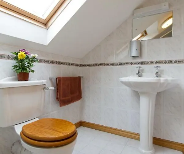 Rise And Shine Vegetarian Bed & Breakfast Westport