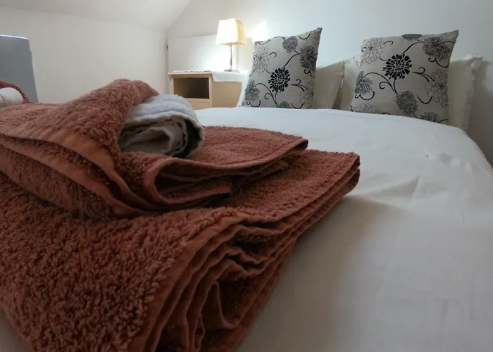 Rise And Shine Vegetarian Bed & Breakfast