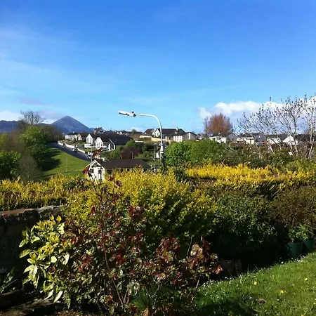 Rise And Shine Vegetarian Westport