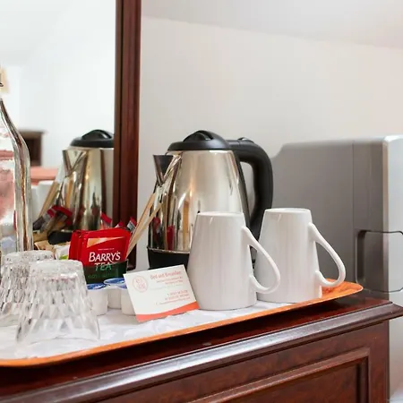 Rise And Shine Vegetarian Westport