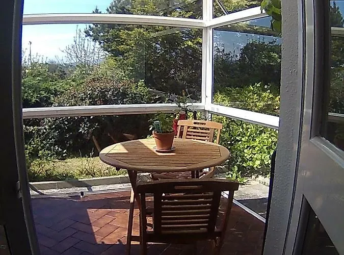 Bed and breakfast Rise And Shine Vegetarian Westport